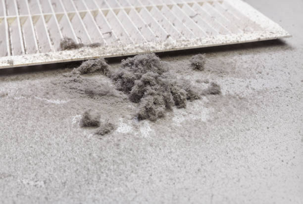Best Emergency Air Duct Cleaning  in Parkers Prairie, MN