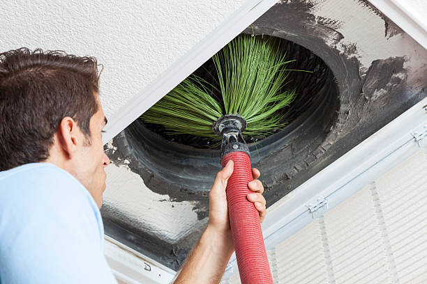 Best Home Air Vent Cleaning  in Parkers Prairie, MN